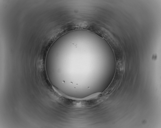 X0000097630564200803071533