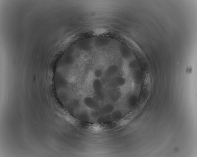 X0000097630565200803071533