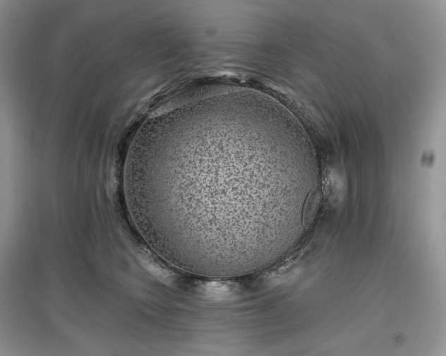 X0000097630566200803071533