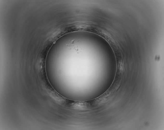 X0000097630567200803071533