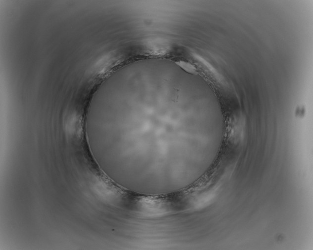 X0000097630568200803071533