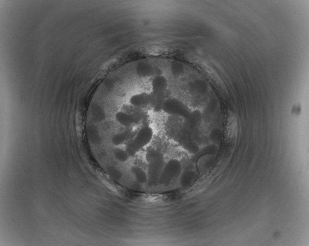 X0000097630569200803071533