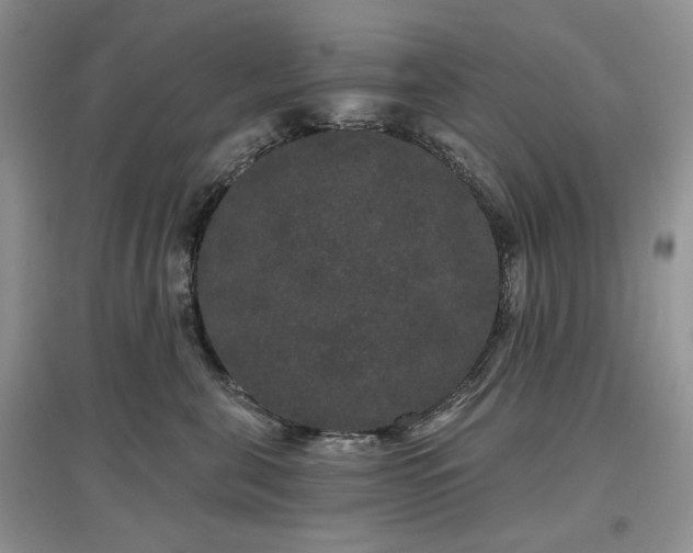 X0000097630571200803071533