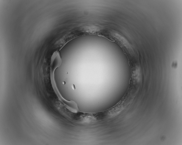 X0000097630572200803071533