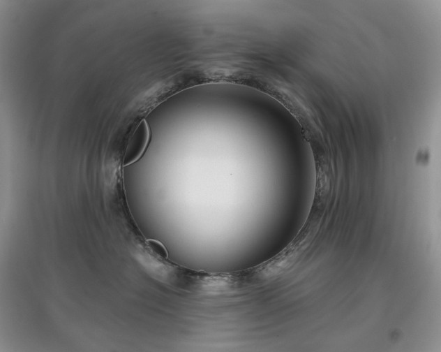 X0000097630574200803071533