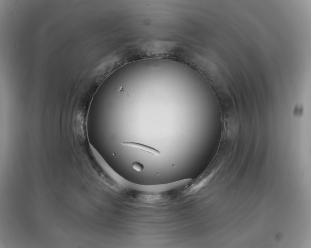 X0000097630575200803071533