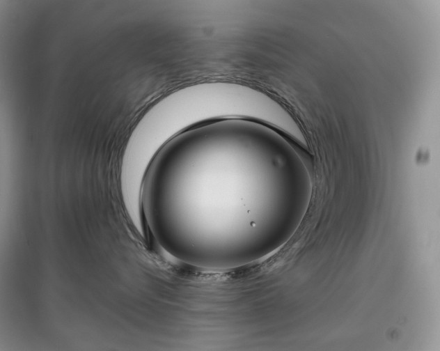 X0000097630576200803071533