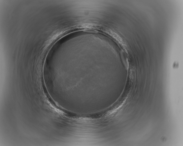 X0000097630577200803071533