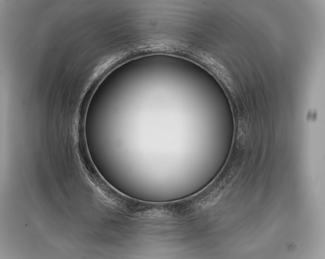 X0000097630578200803071533