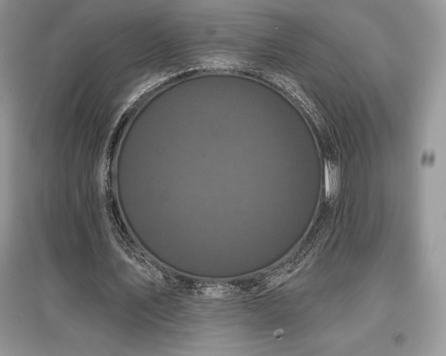 X0000097630579200803071533