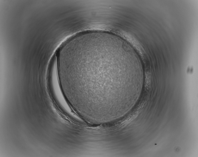 X0000097630580200803071533