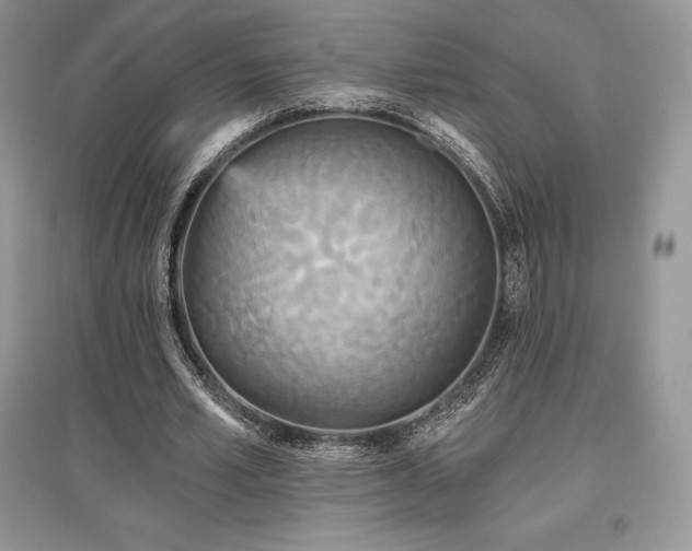 X0000097630581200803071533