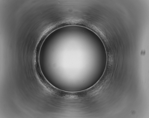 X0000097630582200803071533