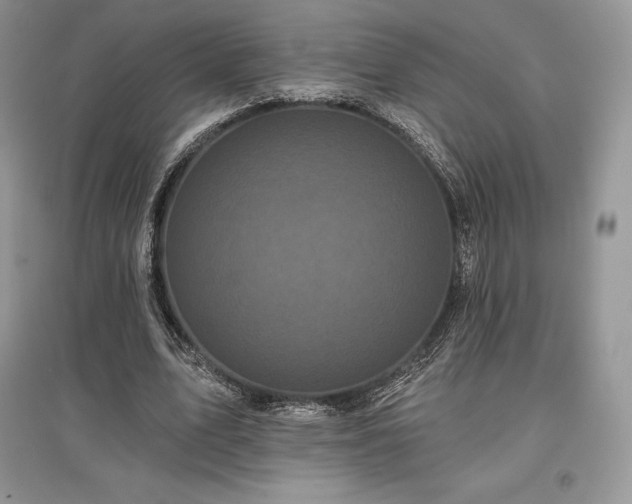 X0000097630583200803071533