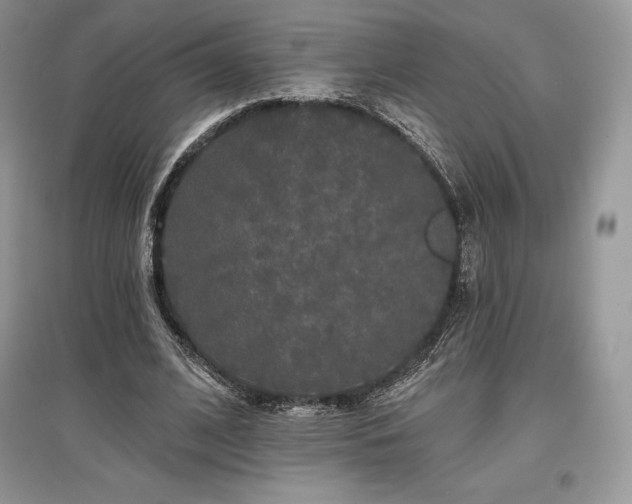 X0000097630584200803071532