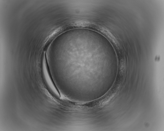 X0000097630585200803071532