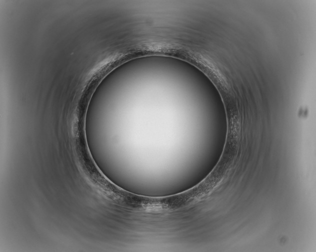 X0000097630587200803071532