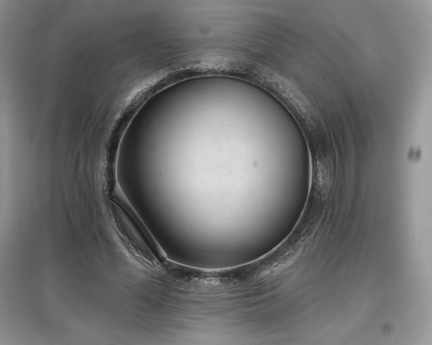 X0000097630588200803071532