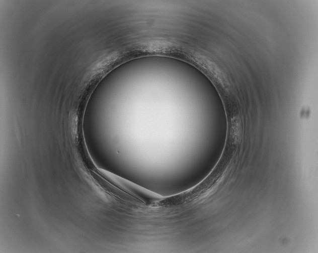 X0000097630589200803071532