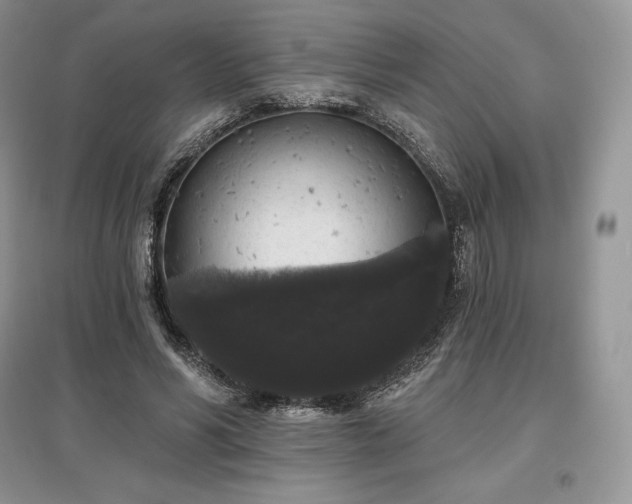 X0000097630590200803071532