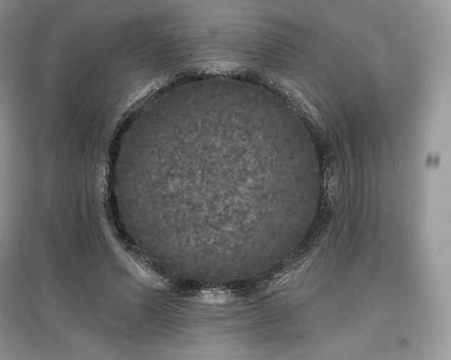 X0000097630591200803071532