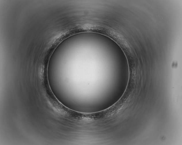 X0000097630592200803071532