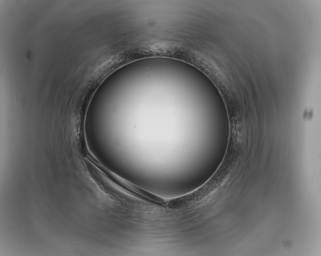 X0000097630593200803071532