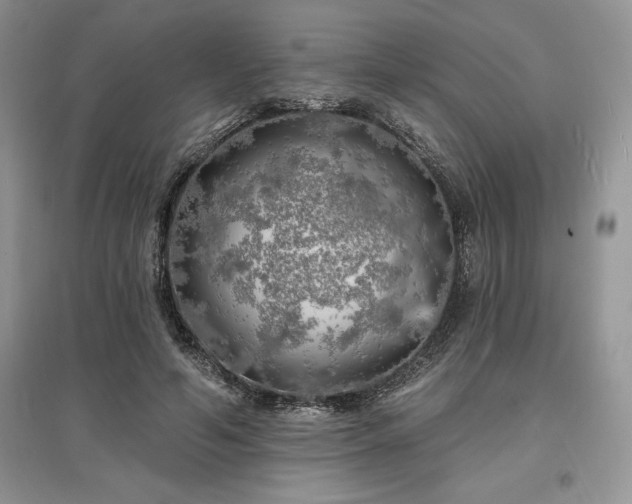 X0000097630594200803071532