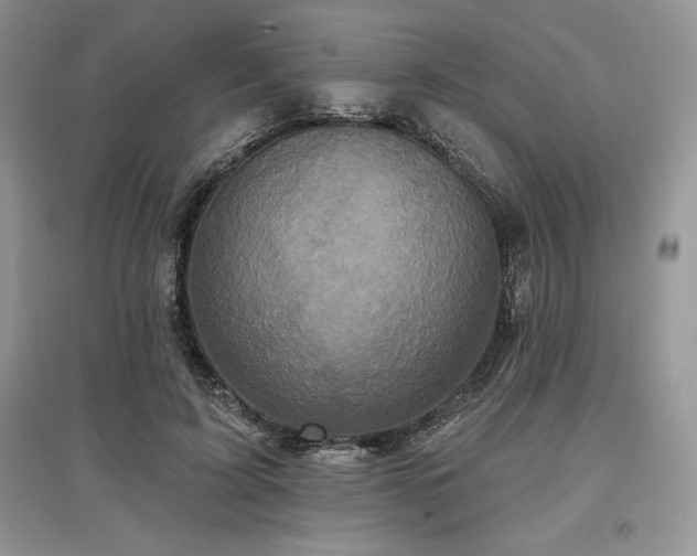 X0000097630595200803071532