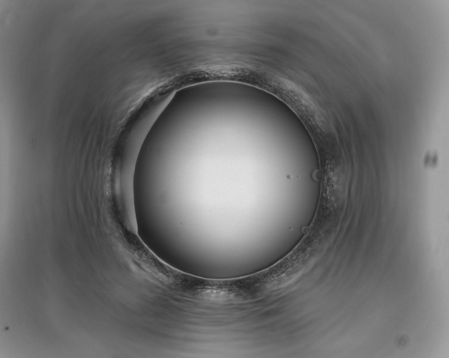 X0000097630596200803071532