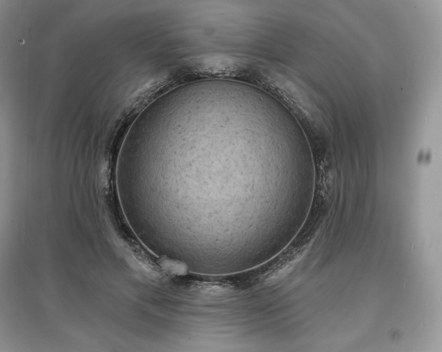 X0000097630597200803071532