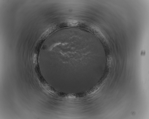 X0000097630598200803071532