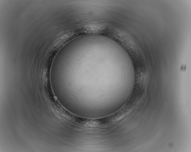 X0000097630599200803071532