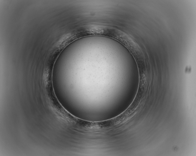 X0000097630600200803071532