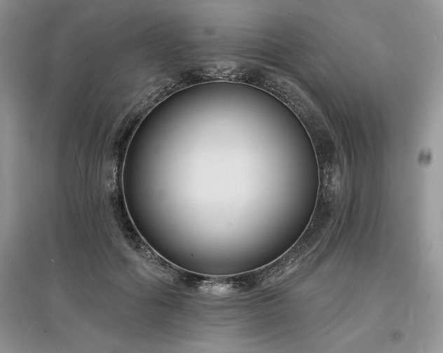 X0000097630602200803071532