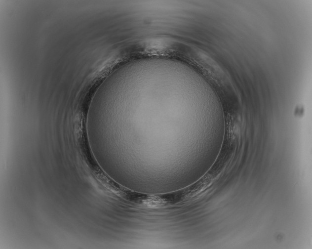 X0000097630603200803071532