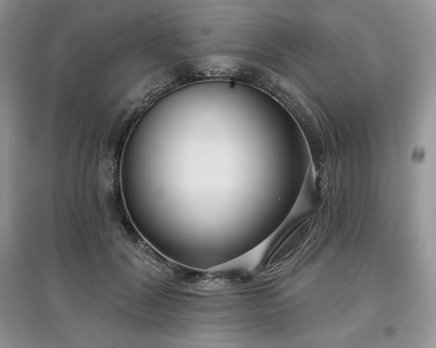 X0000097630604200803071532