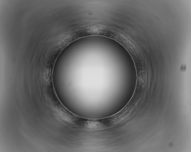 X0000097630605200803071532