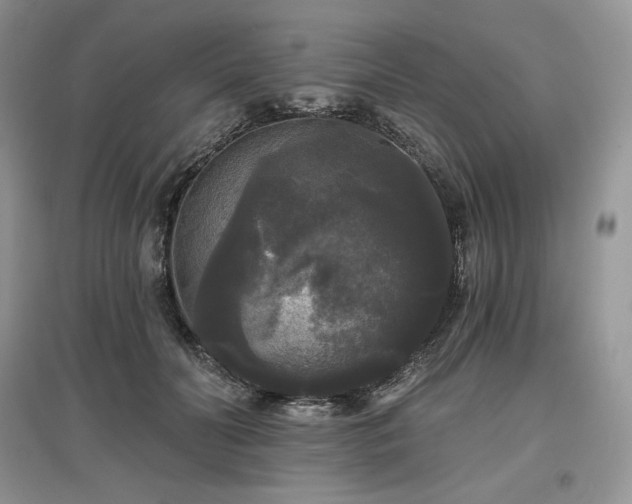 X0000097630606200803071532