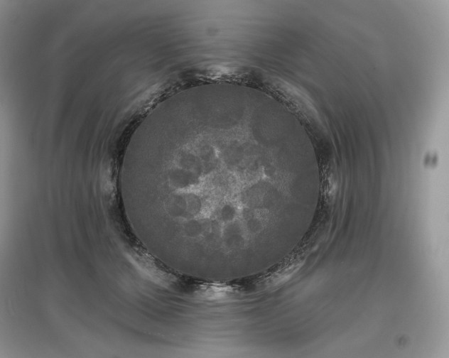 X0000097630607200803071532