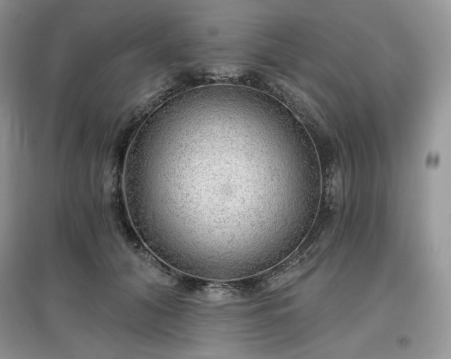 X0000097630608200803071532