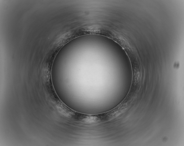 X0000097630609200803071532