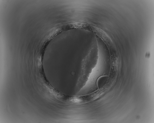 X0000097630610200803071532