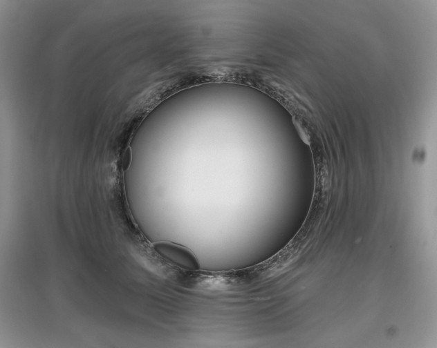 X0000097630611200803071532