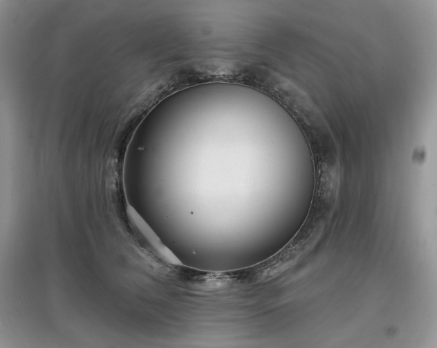 X0000097630612200803071532