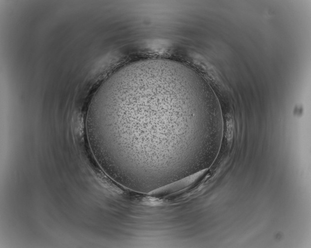 X0000097630613200803071532