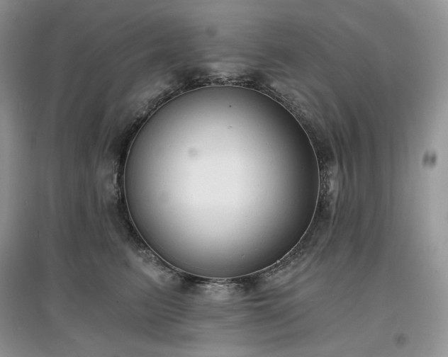 X0000097630615200803071532