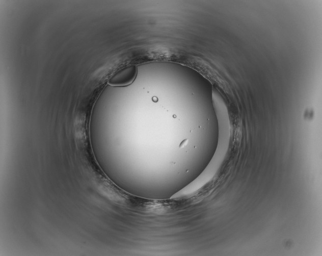 X0000097630616200803071532