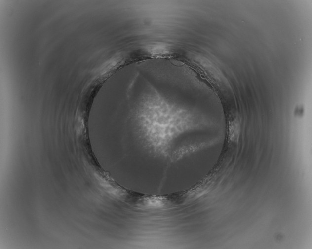 X0000097630618200803071532