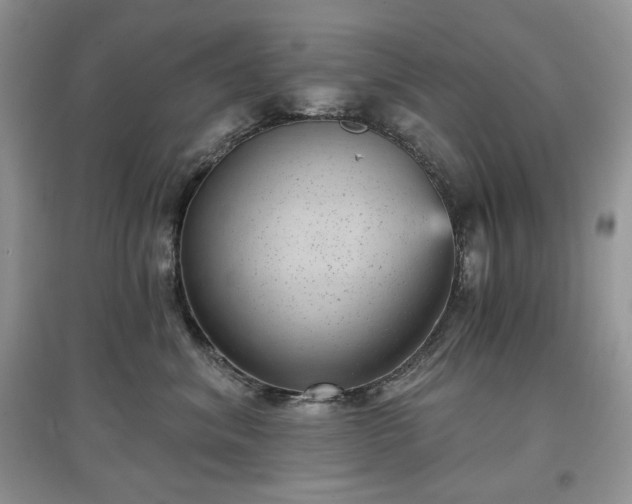 X0000097630620200803071532